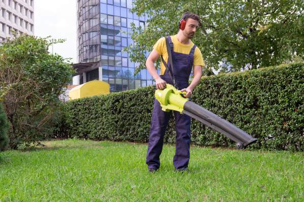 Gardener using his leaves blower in the garden